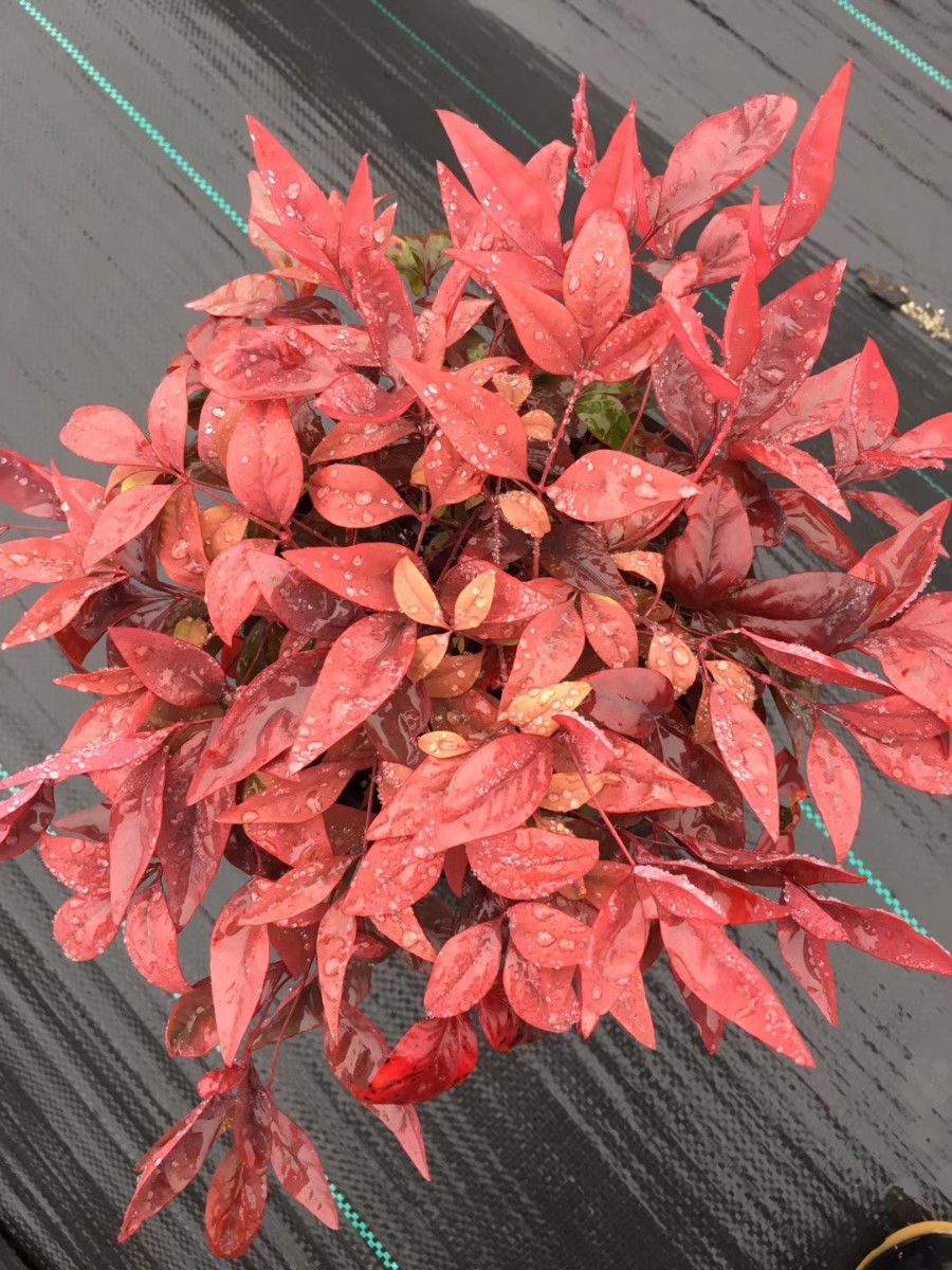 關于品質，我們“用圖”說話