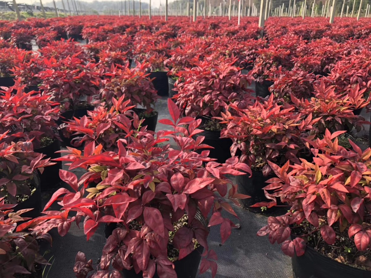 關于品質，我們“用圖”說話